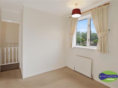Picture 24